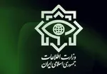 آخرین جزئیات از تزریق واکسن کرونا به سربازان