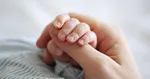ثبت ۳.۳ میلیون تردد تنها در نیمه اول خرداد ماه!