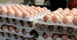 ذخایر کالاهای اساسی به یک ماه کاهش یافت/ روحانی انبارهای خالی تحویل دولت بعد می‌دهد