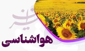 تصاویر/ برداشت برنج به روش سنتی در گلستان