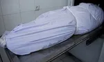 سرقت‌هایی که فاجعه به بار می‌آورند
