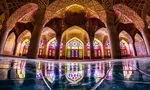 اقدام جالب مرد هندی برای گرامیداشت همسر متوفایش! +عکس