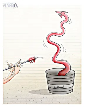 کاریکاتور/ تعویق گرانی 17 قلم کالا...!