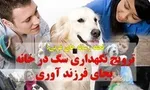 برنامه احتمالی قطع برق پایتخت امروز ۲۱ تیر +نقشه