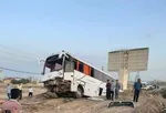 صحنه سازی برای قتل عمه/ از پدربزرگ و عمویم کینه‌ داشتم!