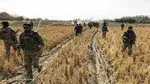 تکذیب کشته شدن علی مزرعه/ ضد انقلاب همچنان مشغول کشته سازی