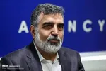 کمالوندی: عوامل ترور فخری‌ زاده و حادثه نطنز یکی است