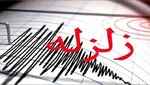 جنگل‌های رامسر آتش گرفت