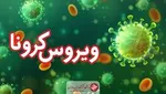 کدام گروه خونی در برابر کووید۱۹ مقاوم‌تر است؟