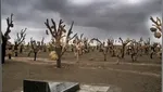 از خانه درختی وزیر تا هتل قتل؛ ۱۰ مکان که علت ساختشان جای تامل دارد!