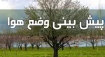 اعمال خاموشی در ۲۰۰ دستگاه دولتی
