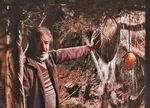 فصل چهارم «نون خ» برای نوروز ۱۴۰۱ ساخته می شود