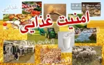 یارانه ویژه دولت؛ طرح یسنا به چه کسانی تعلق می‌گیرد؟