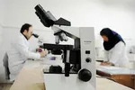 رتبه‌بندی معلمان دومینوی مطالبه برای افزایش حقوق را کلید می‌زند؟