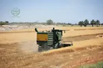 ۶۰۰ تن مرغ گرم و منجمد در راه بازار
