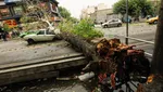۶ مصدوم در پی طوفان شب گذشته استان تهران