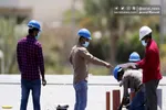 آمار عجیب بیکاری دانشگاهیان