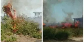 تصاویر / تصاویری از اطفای حریق در جنگل‌های گلستان