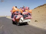قدردانی وزیرخارجه اوکراین ازایران/امیرعبداللهیان به کی یف دعوت شد