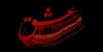 بازیگرانی که ازدواج‌های موفقی داشتند +تصاویر