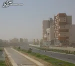 سقوط ۱۲ درخت در پی وقوع توفان در کرج