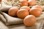 قیمت منطقی هرعدد تخم مرغ ۵ هزار و ۵۰۰ تومان