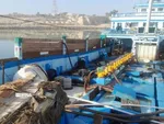 دولت در حال انتخاب وزیر اقتصاد جدید از یک فهرست ۶ نفره است