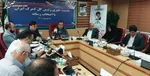 گوشت قرمز گرم و سرد، کود شیمیایی، لاستیک سنگین و انواع بذر، ۵ کالای اساسی وارداتی ۱۴۰۲ بودند!