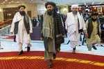 راب: هرگز فکر نمی‌گردیم کابل امسال سقوط کند