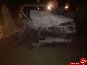تصاویر/ بلایی که سرما بر سر پرتقال‌های شمال آورد