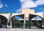امنیت اطلاعات این افراد با اینترنت ۵G در خطر است!