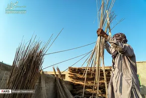 تصاویر/ جارو بافی سنتی