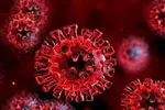عکس/ رنگ‌بندی جدید کرونا در کشور