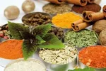 فاجعه بیخ گوش پایتخت؛ سبزیجات جنوب تهران با مواد نفتی آبیاری می‌شود