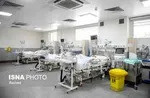 آتش‌بازیِ سال نو، جان صد‌ها پرنده در رم را گرفت+ عکس