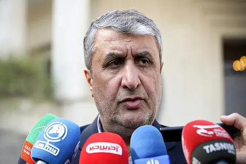 رییس سازمان انرژی اتمی ایران راهی وین شد