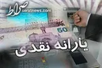 هشدار وزارت کشاورزی به مرغداران: اگر مرغ با قیمت مصوب توزیع نشو‌د قطعاً وارد می‌کنیم