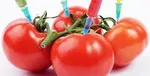 محصولات‌تراریخته؛ بخوریم یا نخوریم؟ مسئله این است!