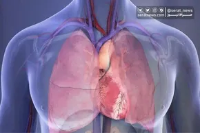 فیلم/ مغز انسان بزرگ‌تر می‌شود!