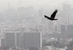 توضیح وزیر درباره مصوبه افزایش ۲۵ درصدی اجاره‌بها