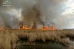 گرد و غبار، ۱۵۱ نفر را راهی مراکز درمانی کرد