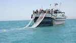 شکار «ابلیس بدبو» مشهد؛ آزار و اذیت شیطانی ۷ زن پشت شمشاد‌ها