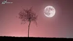 رصد انفجار مهیبی که هر ۱۰۰۰ سال یک بار رخ می‌دهد