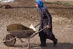 چرا واردات گوشی‌های شیائومی به ایران ممنوع شد؟ / احتمال افزایش قیمت گوشی شیائومی