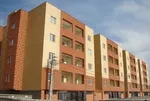 گوجه‌سبز نوبرانه، کیلویی ۹۰هزار تومان!