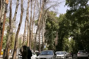فیلم | ویدئویی از سرقت مسلحانه و هولناک از یک طلافروشی در تهران