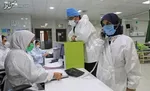 شناسایی ۸۱ بیمار جدید کووید۱۹