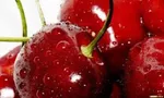 کاهش کلسترول بد با این میوه تابستانی