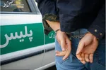 کشف ۳ قبضه اسلحه و ۳۷۳ عدد فشنگ شکاری غیرمجاز در کرمانشاه