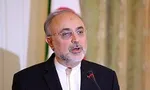 3 تا 4 هزار بار مذاکره کرده‌ام/ اصطلاح برد-برد من را یاد قمار می‌اندازد